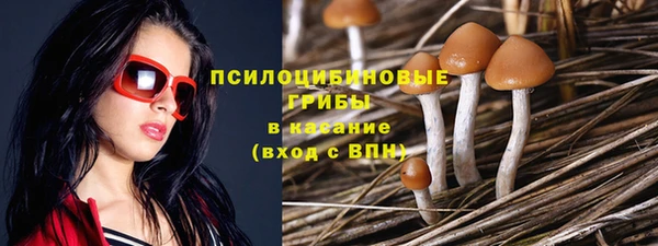 ешки Балашиха