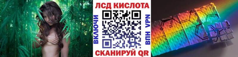 дарк нет состав  Назрань  Марки NBOMe 1,5мг 