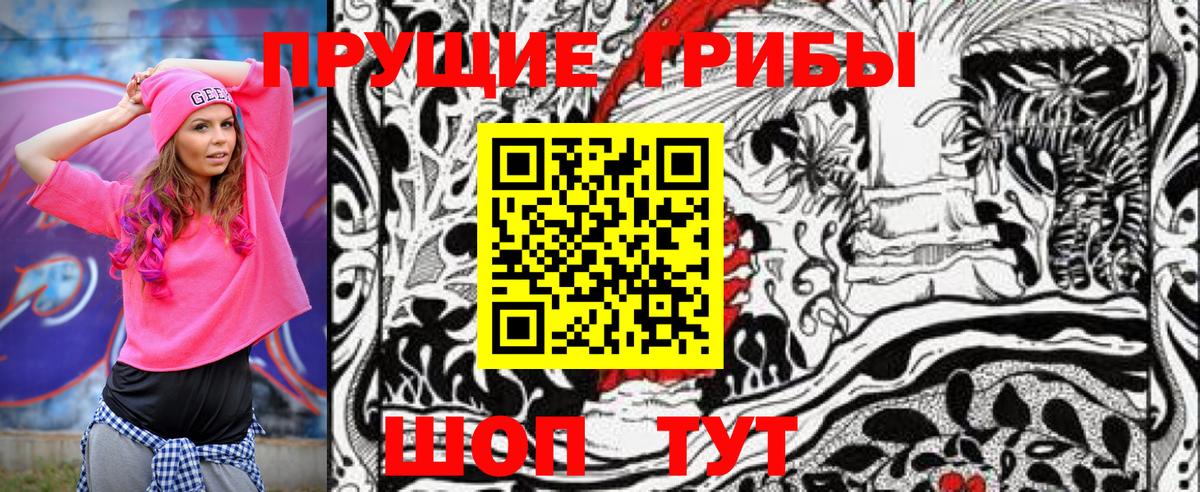 Псилоцибиновые грибы GOLDEN TEACHER  Псилоцибиновые грибы мухоморы  Вход с VPN  Назрань 