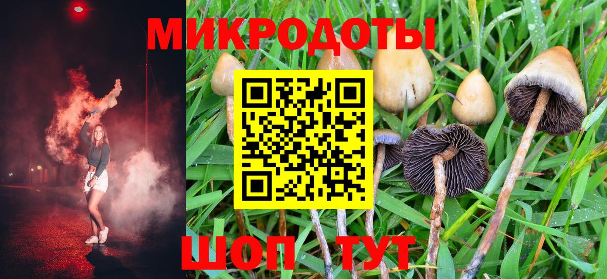 Псилоцибиновые грибы прущие грибы Назрань
