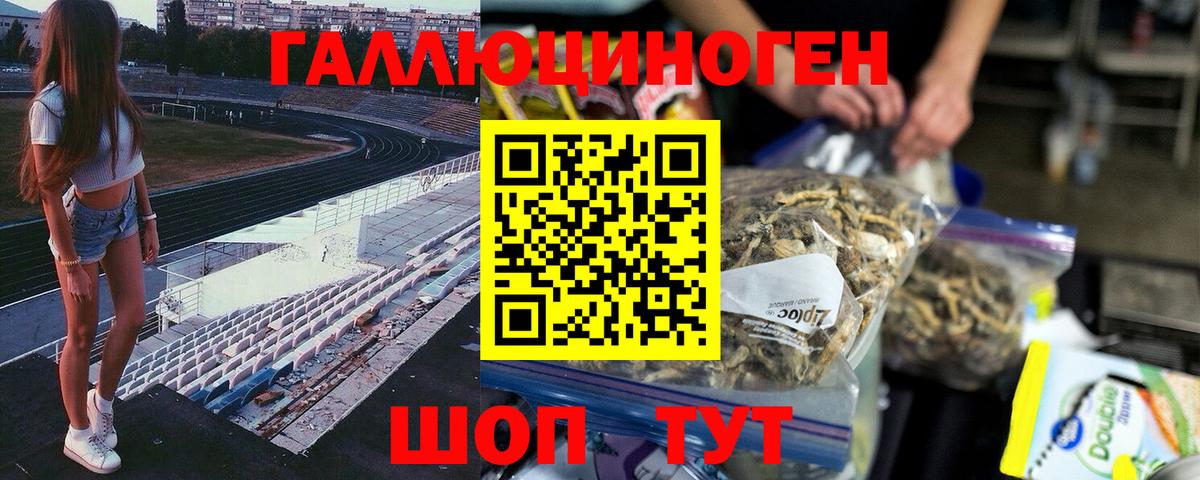 Галлюциногенные грибы Magic Shrooms  Назрань  Псилоцибиновые грибы мухоморы 