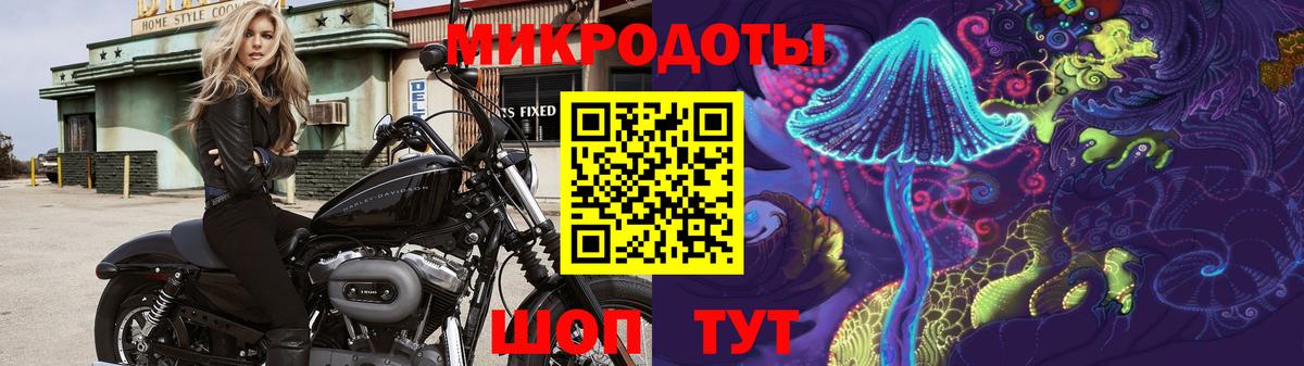 Псилоцибиновые грибы Cubensis Назрань