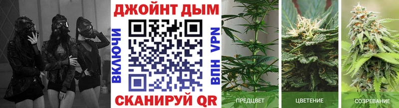 МАРИХУАНА ГИДРОПОН  гидра как войти  Назрань 